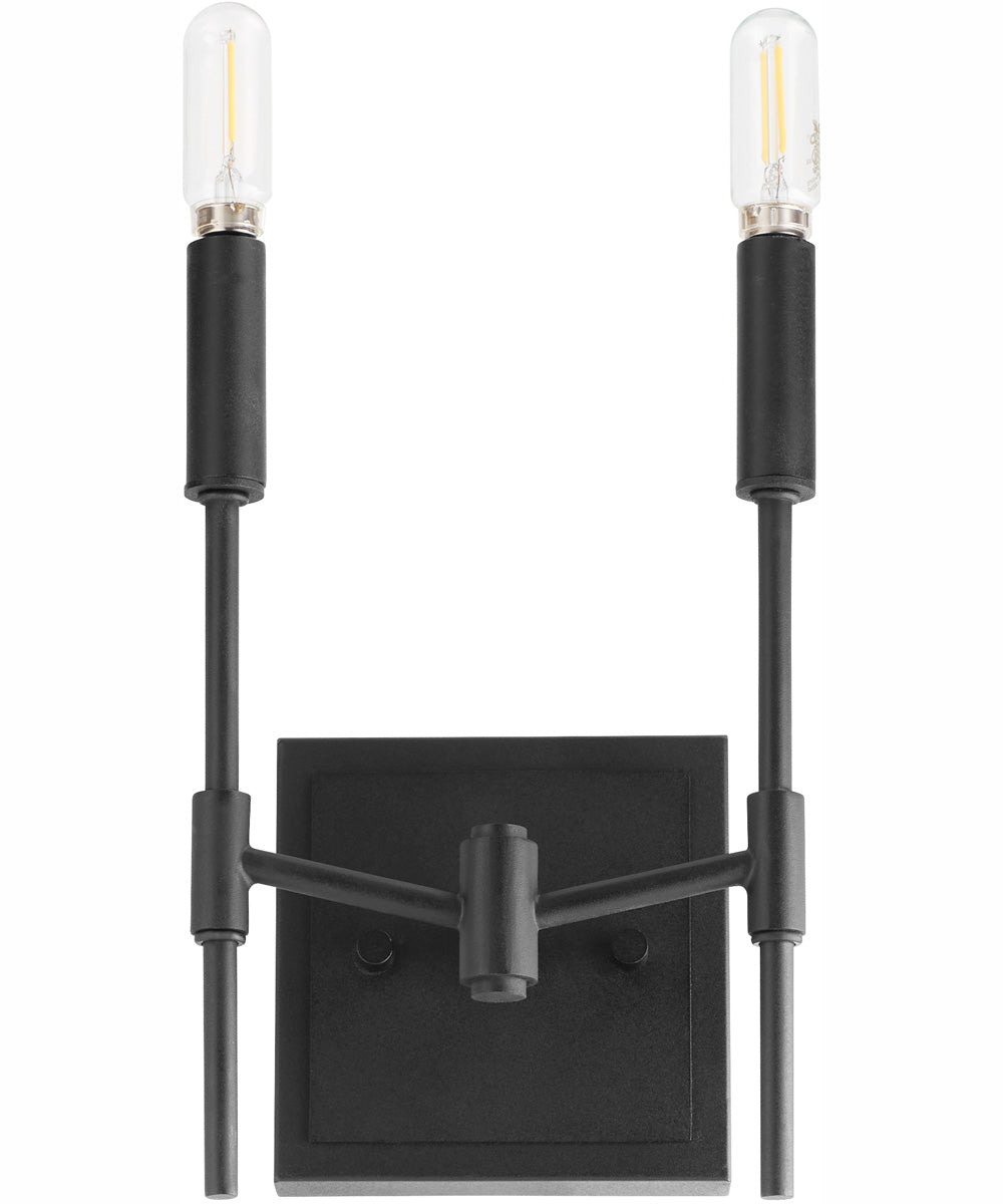 Hamilton 2-light Wall Mount Light Fixture Matte Black