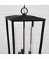 Elliott 3-Light Outdoor Hanging-Lantern Rain or Shine - Black