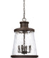 Tory 4-Light Outdoor Hanging Rain or Shine - Oiled Bronze with Clear Organic Glass