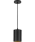 5"  Outdoor LED Aluminum Cylinder Cord-Mount Hanging Light Black