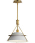 Lucas 1-Light Pendant Natural Aged Brass