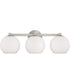 Ansley 3-Light Vanity Brushed Nickel