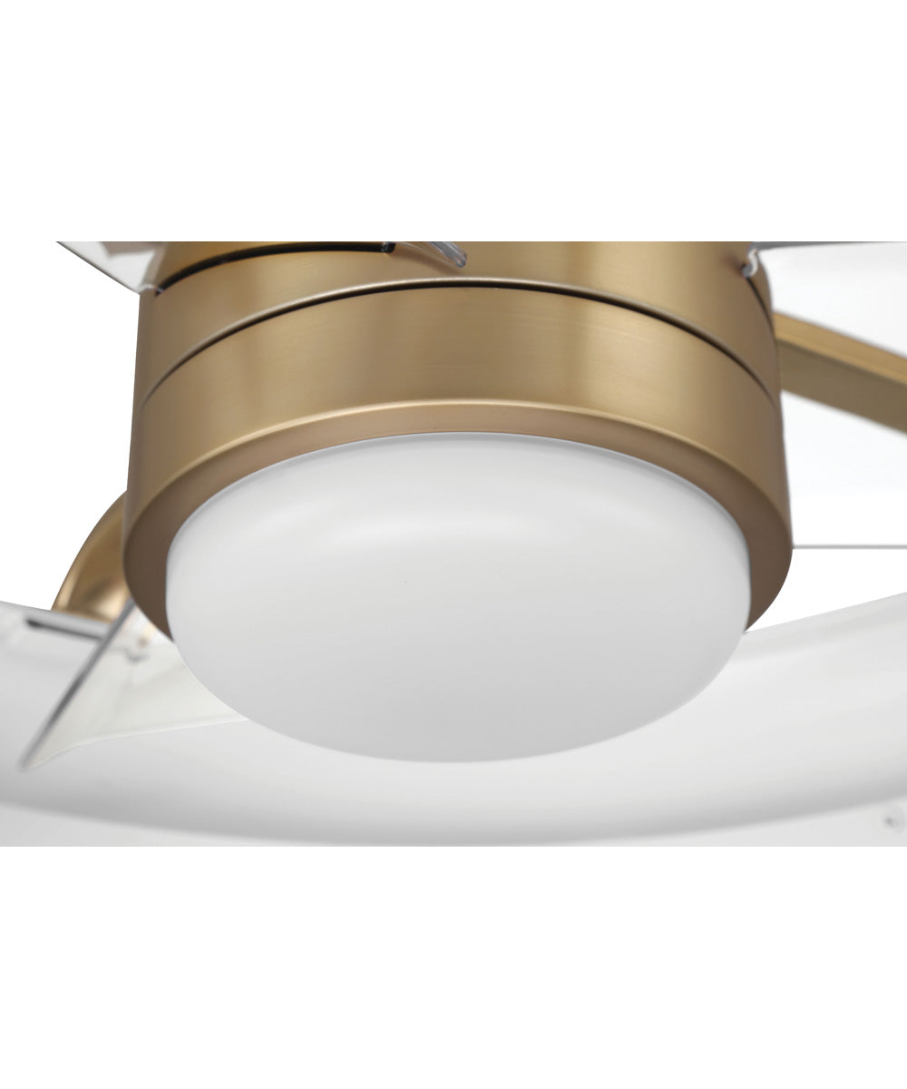 Taylor 24" 1-Light Ceiling Fan (Blades Included) White/Satin Brass