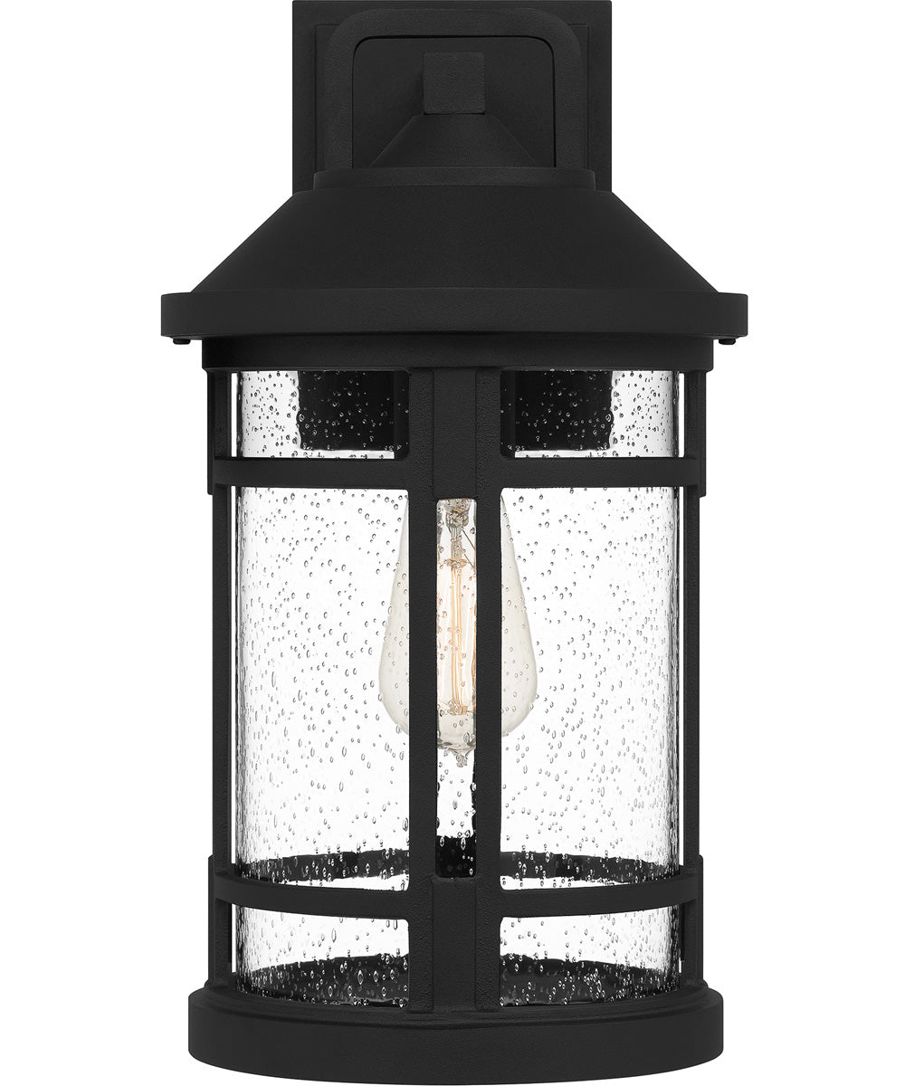 Quincy Large 1-light Outdoor Wall Light  Coastal Armour Aluminum Earth Black
