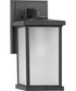 Trafford Non-Metallic Lantern  1-Light Frosted Shade Traditional Outdoor Wall Lantern Light Textured Black