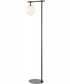 Lencho 1-Light Floor Lamp Black/Frost Glass Shade
