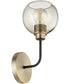 Clarion 1-light Wall Mount Light Fixture Textured Black w/ Aged Brass