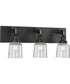 Rushton 3-Light Clear Glass Farmhouse Bath Vanity Light Graphite