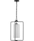 Merry 1-Light Etched Glass Transitional Style Foyer Pendant Light Matte Black