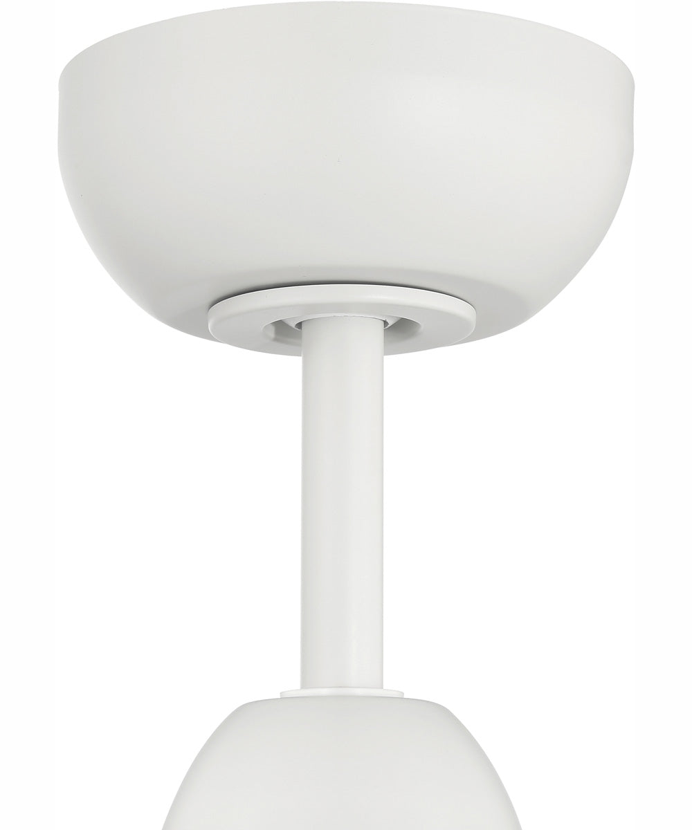 52" Sebastion 2-Light Indoor/Outdoor Ceiling Fan White