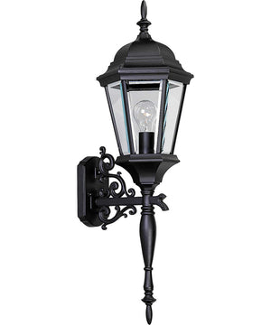 Welbourne 1-Light Large Wall Lantern Textured Black
