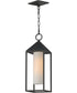 Aldous 1-Light Outdoor Pendant Black