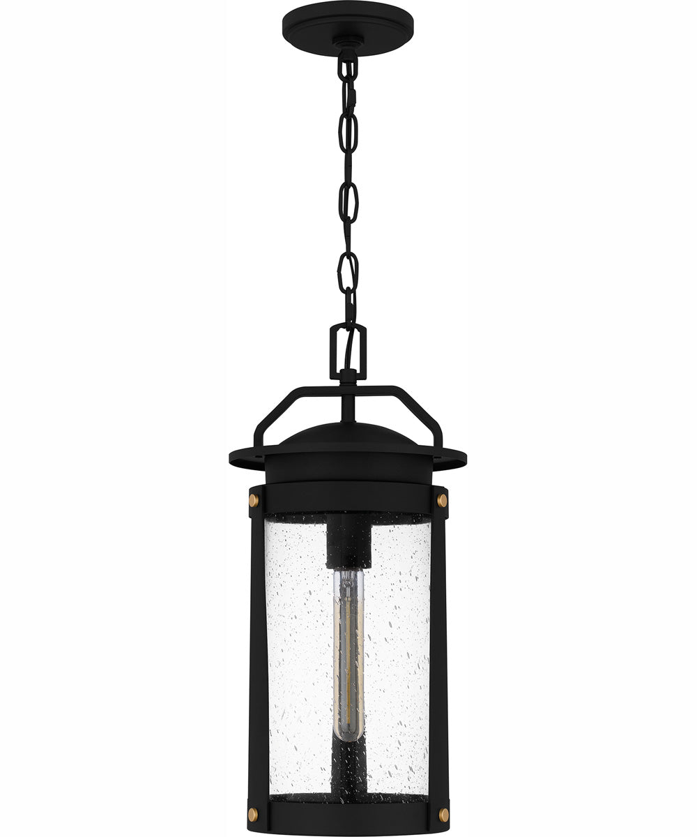 Clifton Large 1-light Outdoor Pendant Light  Coastal Armour Aluminum Earth Black
