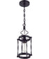 Jolenne 1-Light Mini Pendant Flat Black