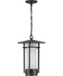 Exton 1-Light Etched Seeded Glass Modern Style Outdoor Hanging Pendant Lantern Textured Black
