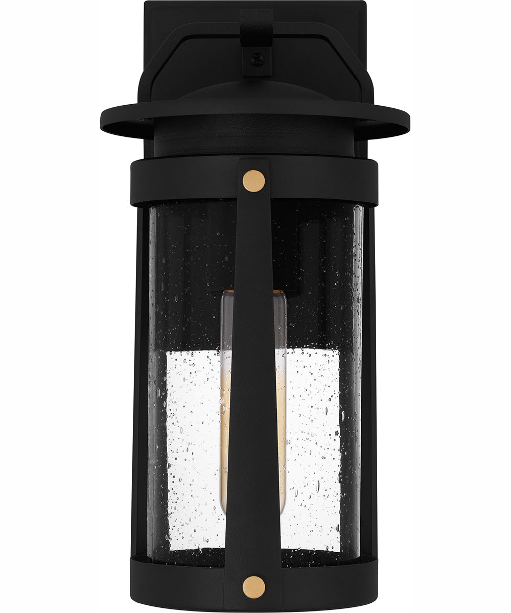Clifton Small 1-light Outdoor Wall Light  Coastal Armour Aluminum Earth Black