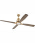 60" Ricasso 1-Light Ceiling Fan Satin Brass