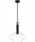 Quoizel Pendant 1-light Pendant Mottled Black