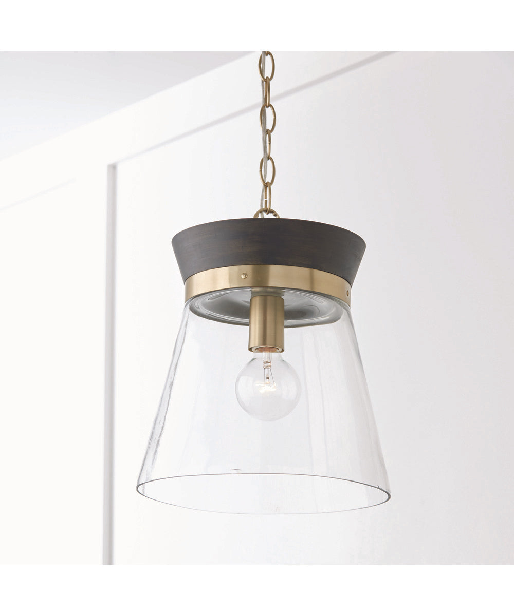 Finn 1-Light Pendant Black Stain and Matte Brass