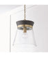 Finn 1-Light Pendant Black Stain and Matte Brass