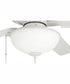 60" Outdoor Super Pro 211 2-Light Indoor/Outdoor Ceiling Fan White