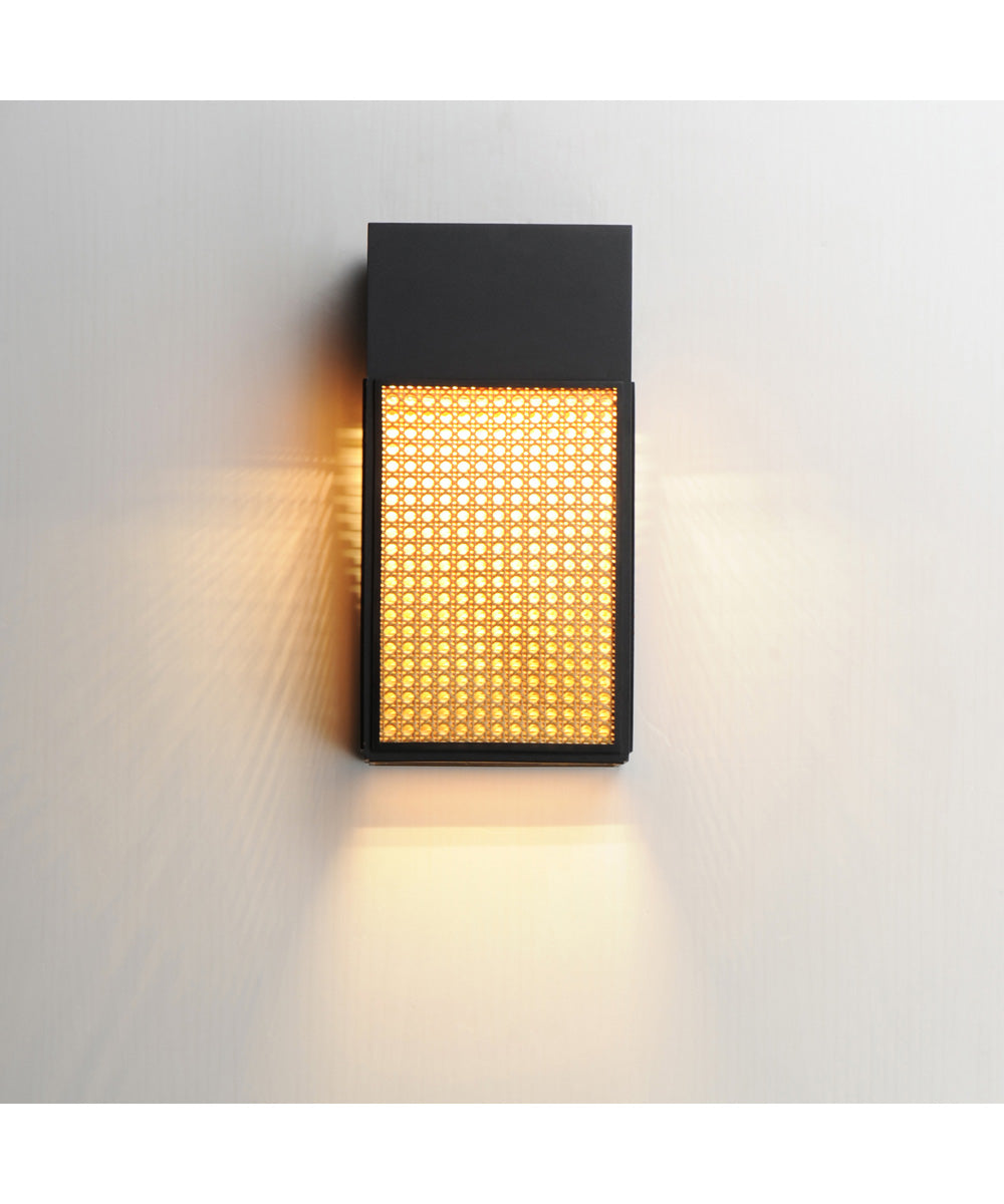 Lattice 16 inch LED Outdoor Sconce Dark Sky Black