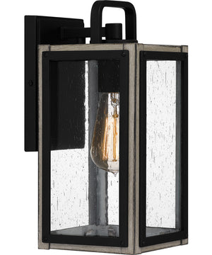 Bramshaw Small 1-light Outdoor Wall Light  Coastal Armour Aluminum Matte Black