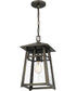 Merle Large 1-light Outdoor Pendant Light  Coastal Armour Aluminum Burnished Bronze