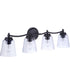 Tyler 4-Light Bath Vanity Light Flat Black