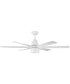 Quirk 1-Light Specialty Indoor/Outdoor Ceiling Fan (Blades Included) White