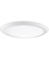 Verge  Flush Mount White Lustre