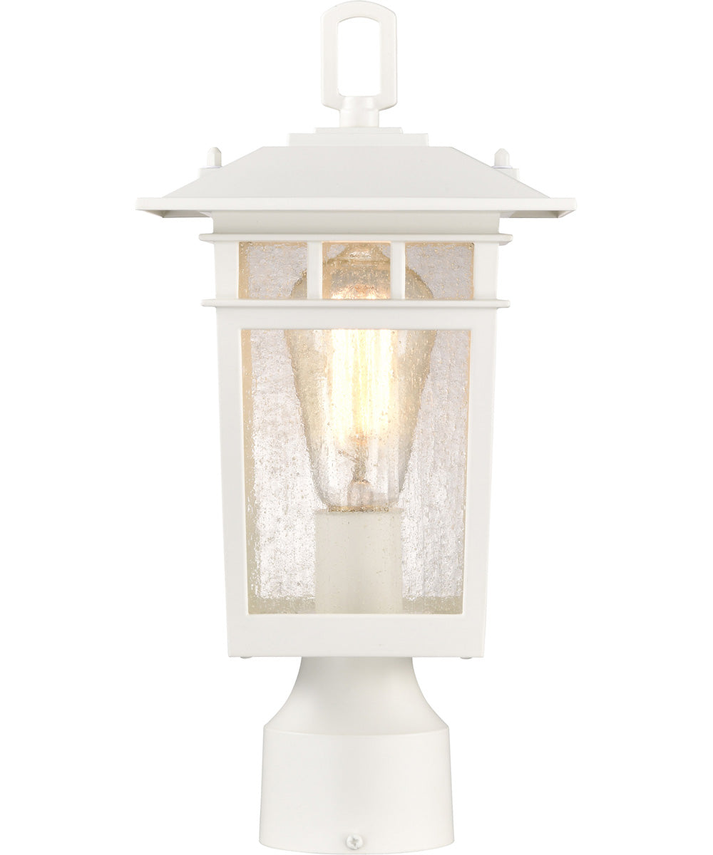 Cove Neck 1-Light Outdoor White
