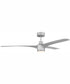 60" Phoebe 1-Light Indoor/Outdoor Ceiling Fan Painted Nickel