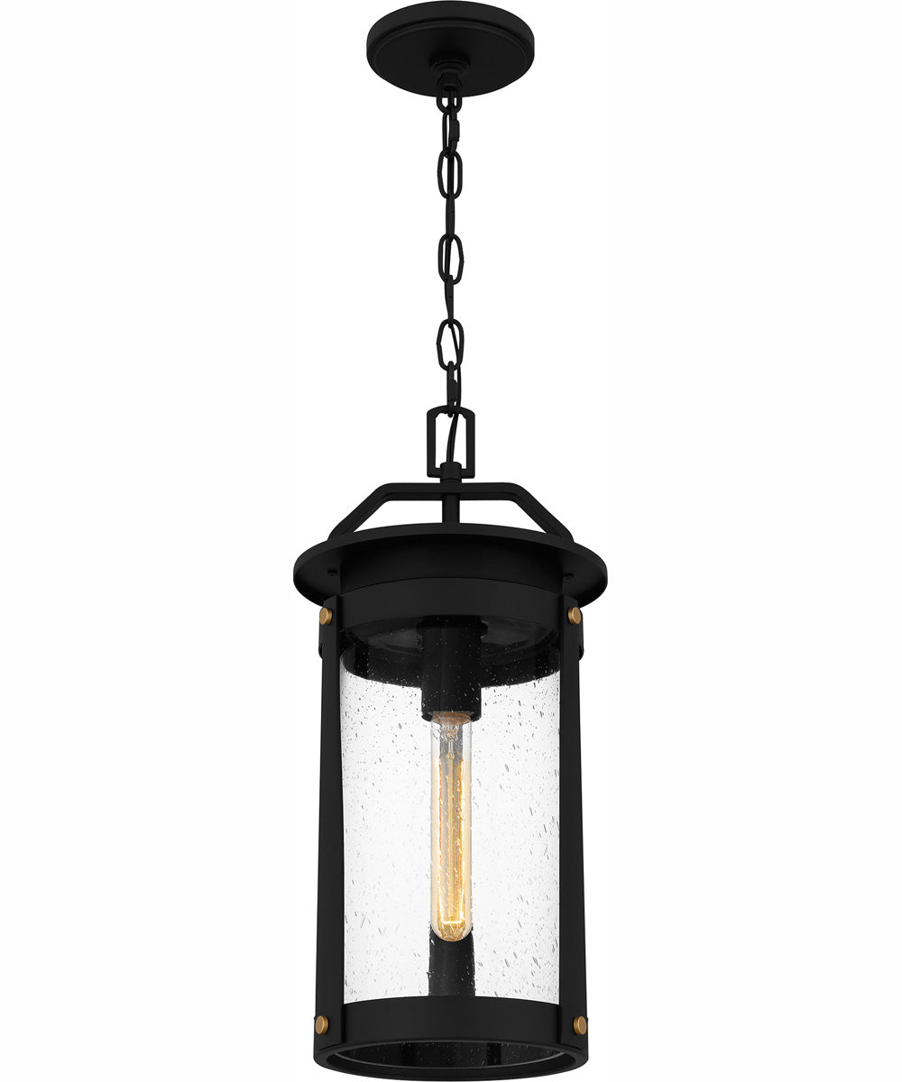 Clifton Large 1-light Outdoor Pendant Light  Coastal Armour Aluminum Earth Black