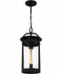 Clifton Large 1-light Outdoor Pendant Light  Coastal Armour Aluminum Earth Black