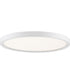 Outskirts  Flush Mount White Lustre