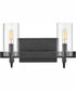 Ryden 2-Light Two Light Vanity in Black