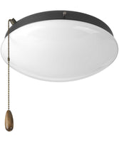 Ceiling Fan Light Kits