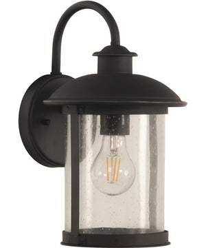 O'Fallon 1-Light Outdoor Wall Light Dark Bronze Gilded