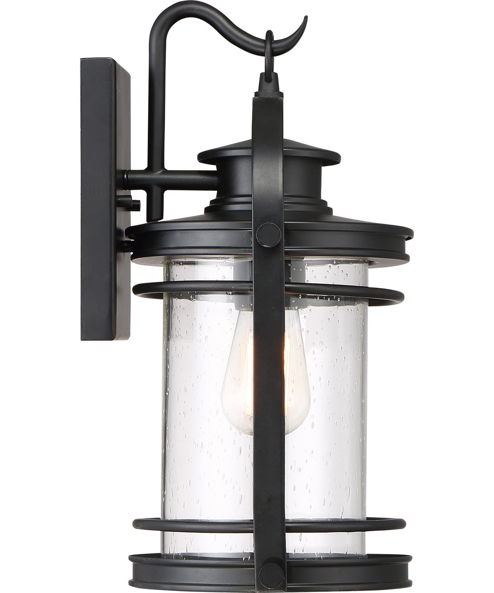 Booker Medium 1-light Outdoor Wall Light Mystic Black