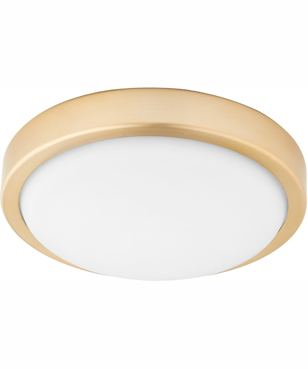 1-light LED Ceiling Fan Light Kit Aged Brass