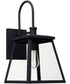 Belmore 1-Light Outdoor Wall Mount Rain or Shine - Black with Clear Glass