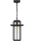 Randall Small 1-light Mini Pendant Coastal Armour Aluminum Mottled Black