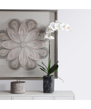 Eponine White Orchid