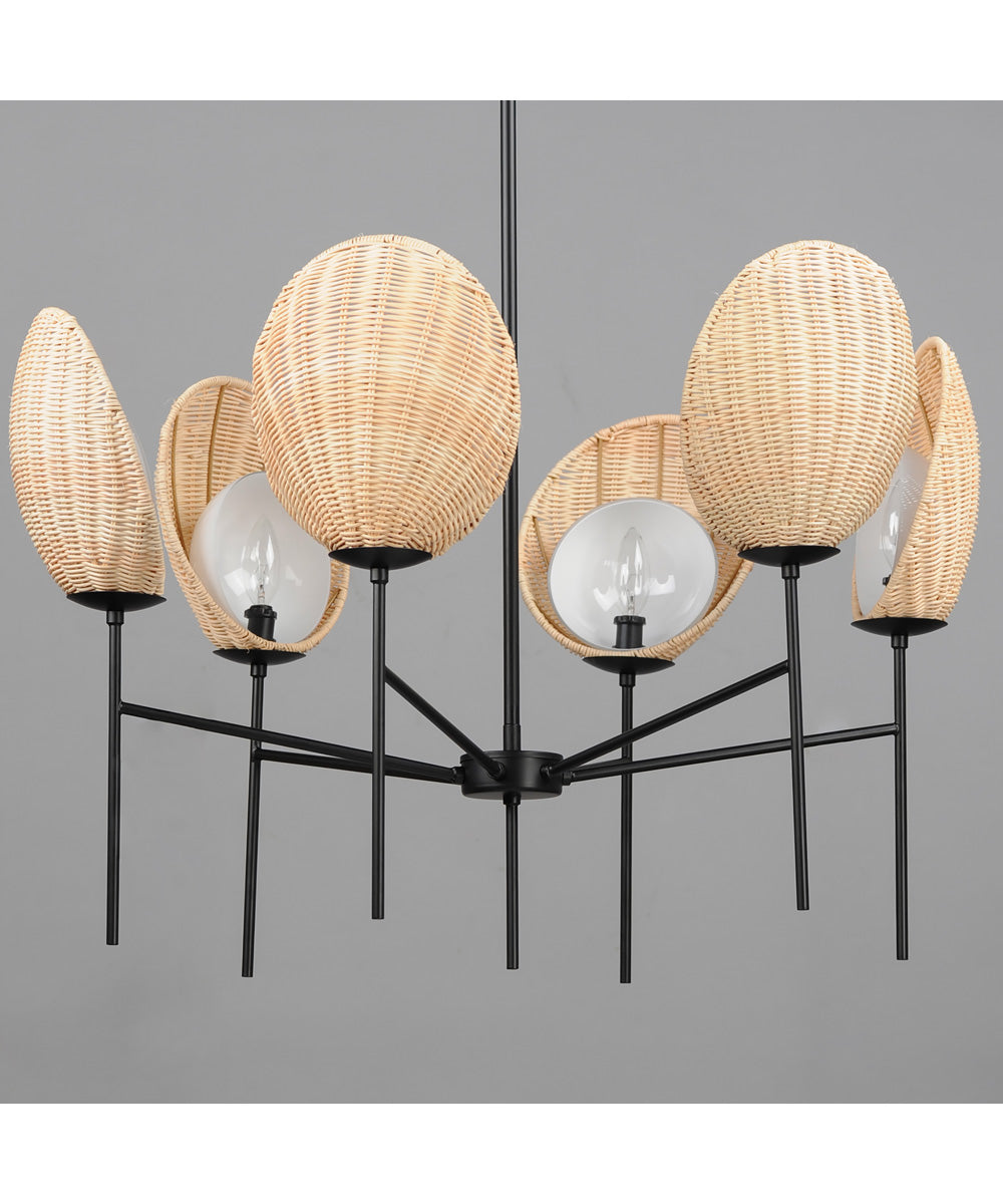 Maldives 6-Light Chandelier Black