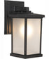 Resilience Lanterns 1-Light Outdoor Wall Lantern Matte Black