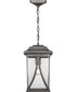 Abbott 1-Light Hanging Lantern Antique Pewter