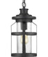 Haslett 1-Light Hanging Lantern Textured Black