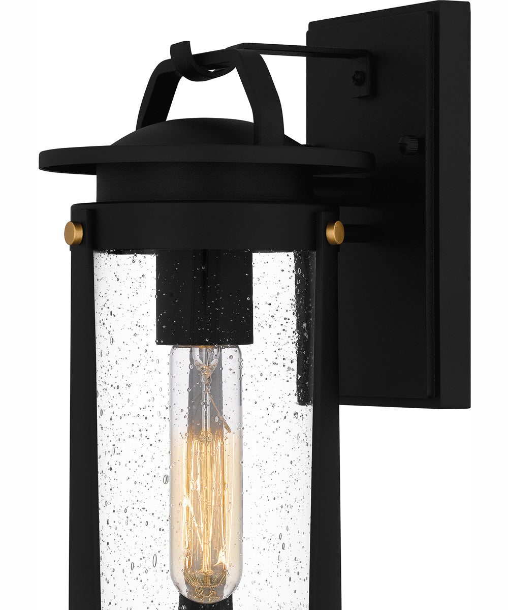 Clifton Small 1-light Outdoor Wall Light  Coastal Armour Aluminum Earth Black