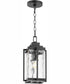 Domus 1-light Pendant Textured Black